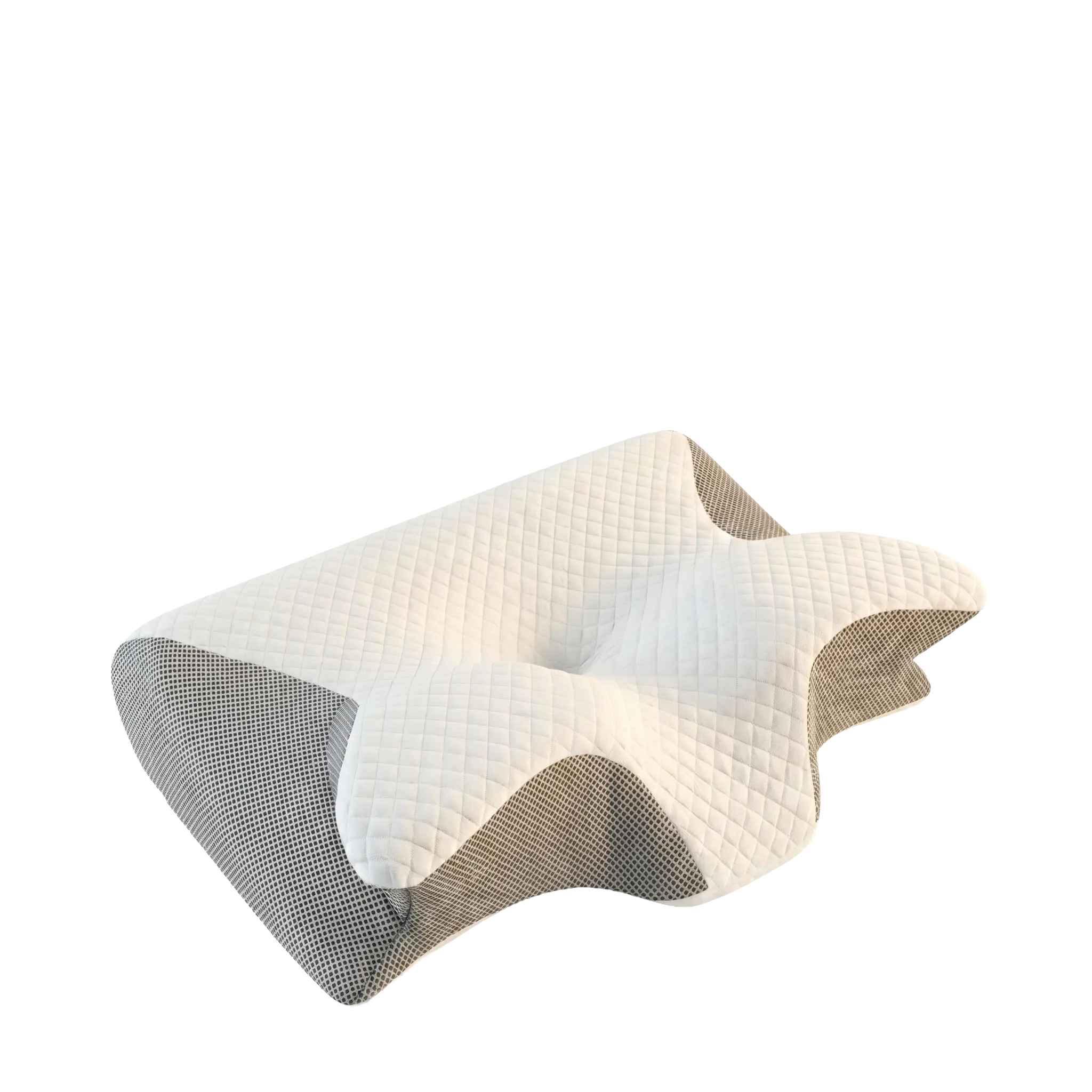 Clarine Memory Foam Contour Neck Pillow